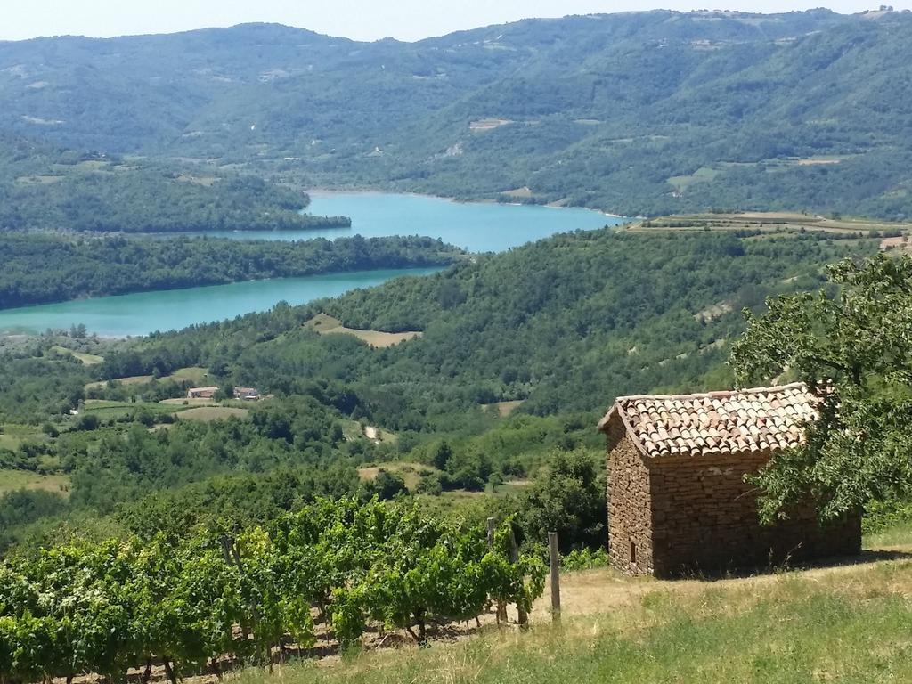 Al Merlo Olivo, Rural Istrian House บูเย ภายนอก รูปภาพ