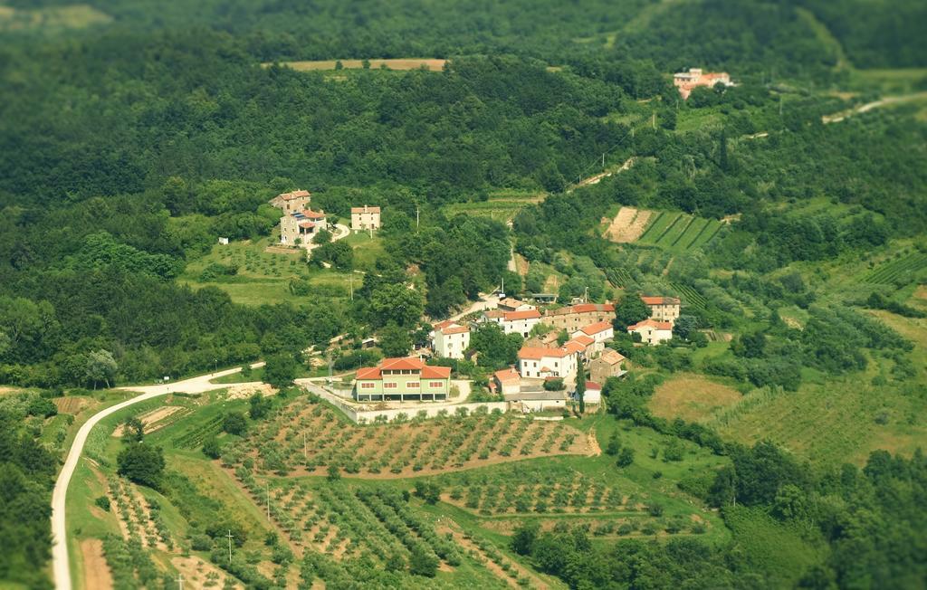 Al Merlo Olivo, Rural Istrian House บูเย ภายนอก รูปภาพ