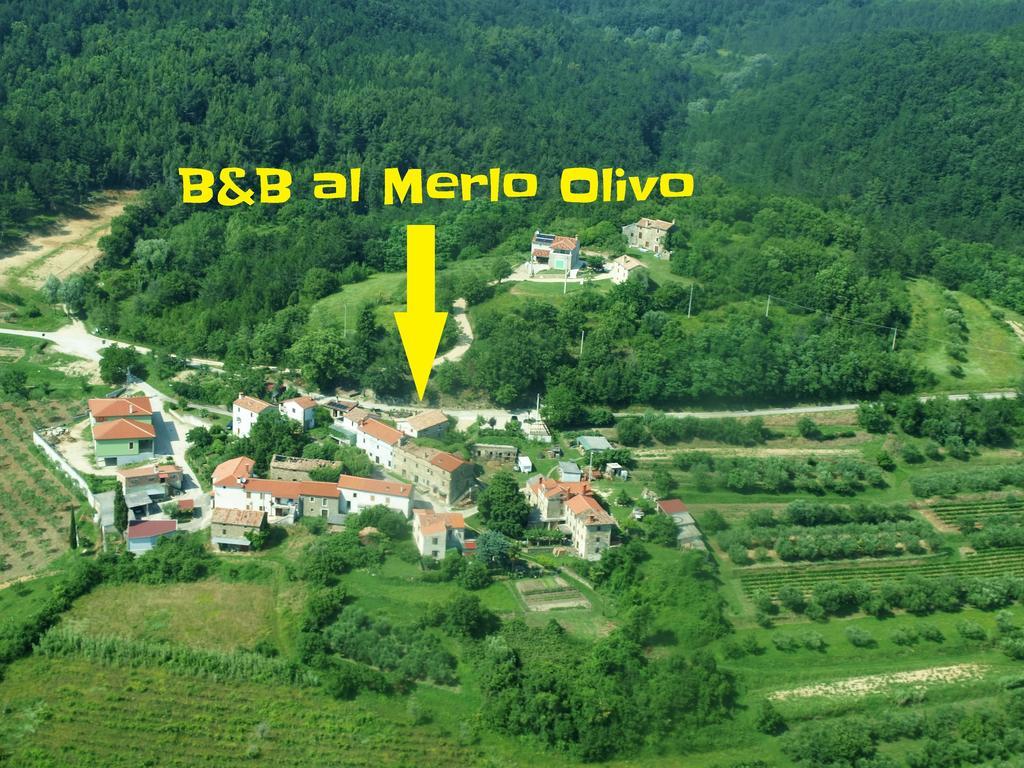 Al Merlo Olivo, Rural Istrian House บูเย ภายนอก รูปภาพ