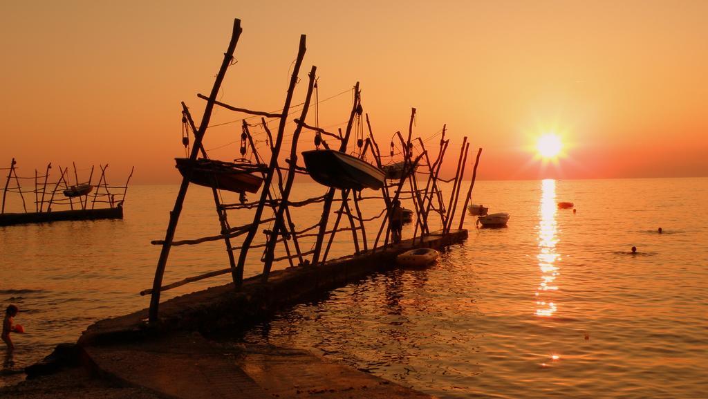 Al Merlo Olivo, Rural Istrian House บูเย ภายนอก รูปภาพ