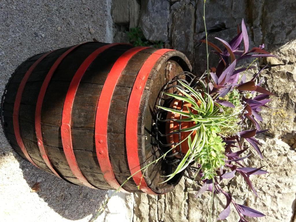 Al Merlo Olivo, Rural Istrian House บูเย ภายนอก รูปภาพ