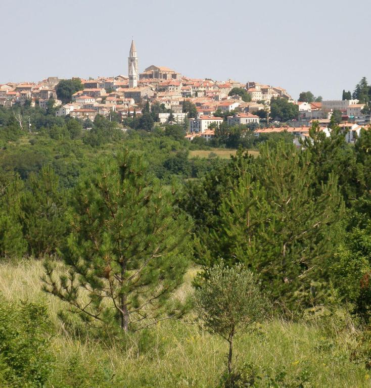 Al Merlo Olivo, Rural Istrian House บูเย ภายนอก รูปภาพ