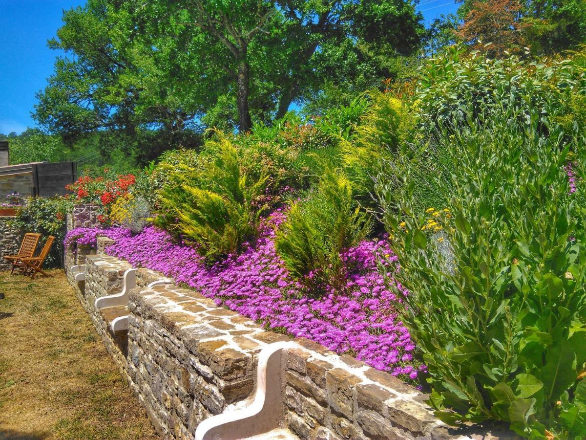 Al Merlo Olivo, Rural Istrian House บูเย ภายนอก รูปภาพ