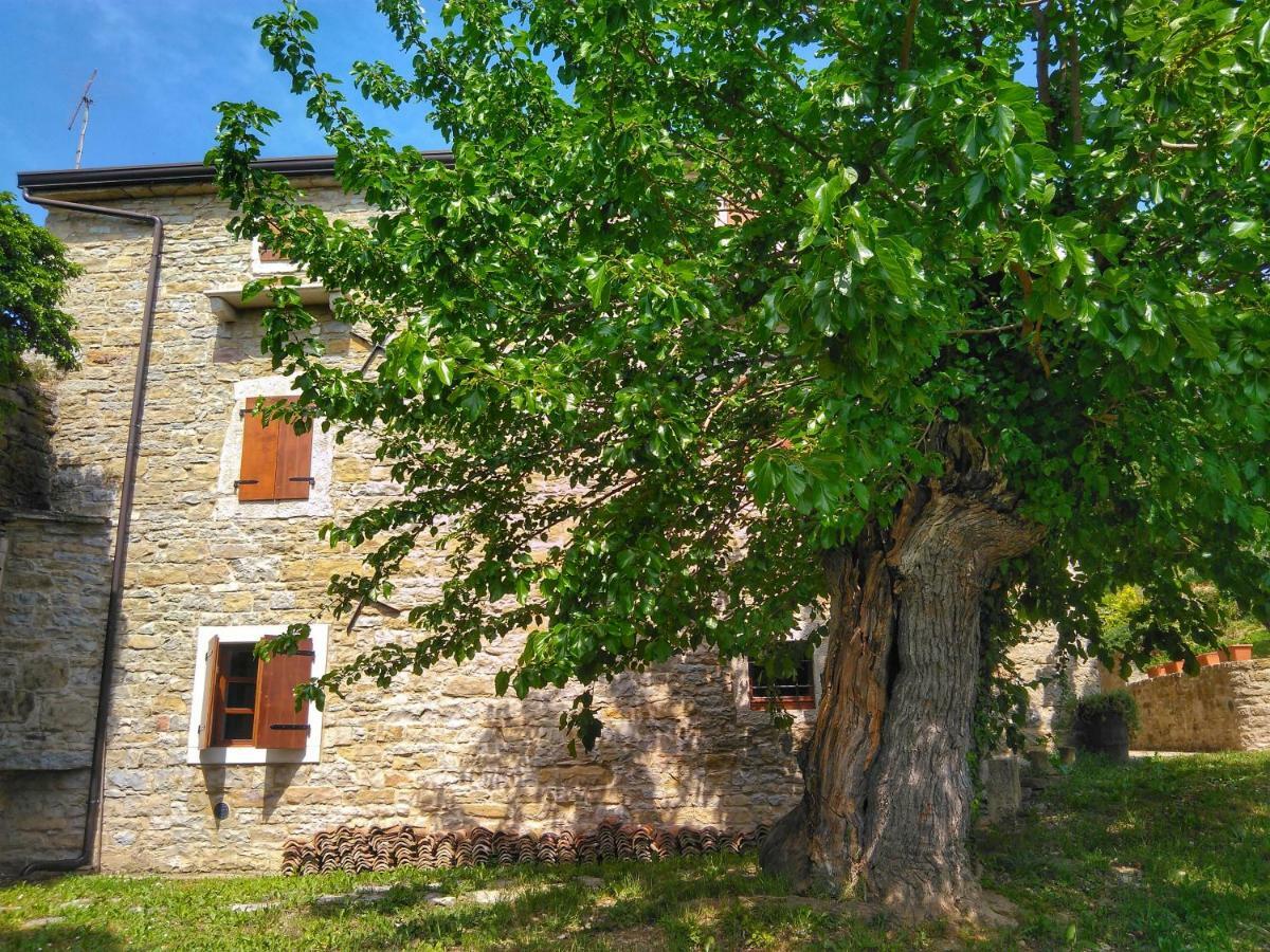 Al Merlo Olivo, Rural Istrian House บูเย ภายนอก รูปภาพ