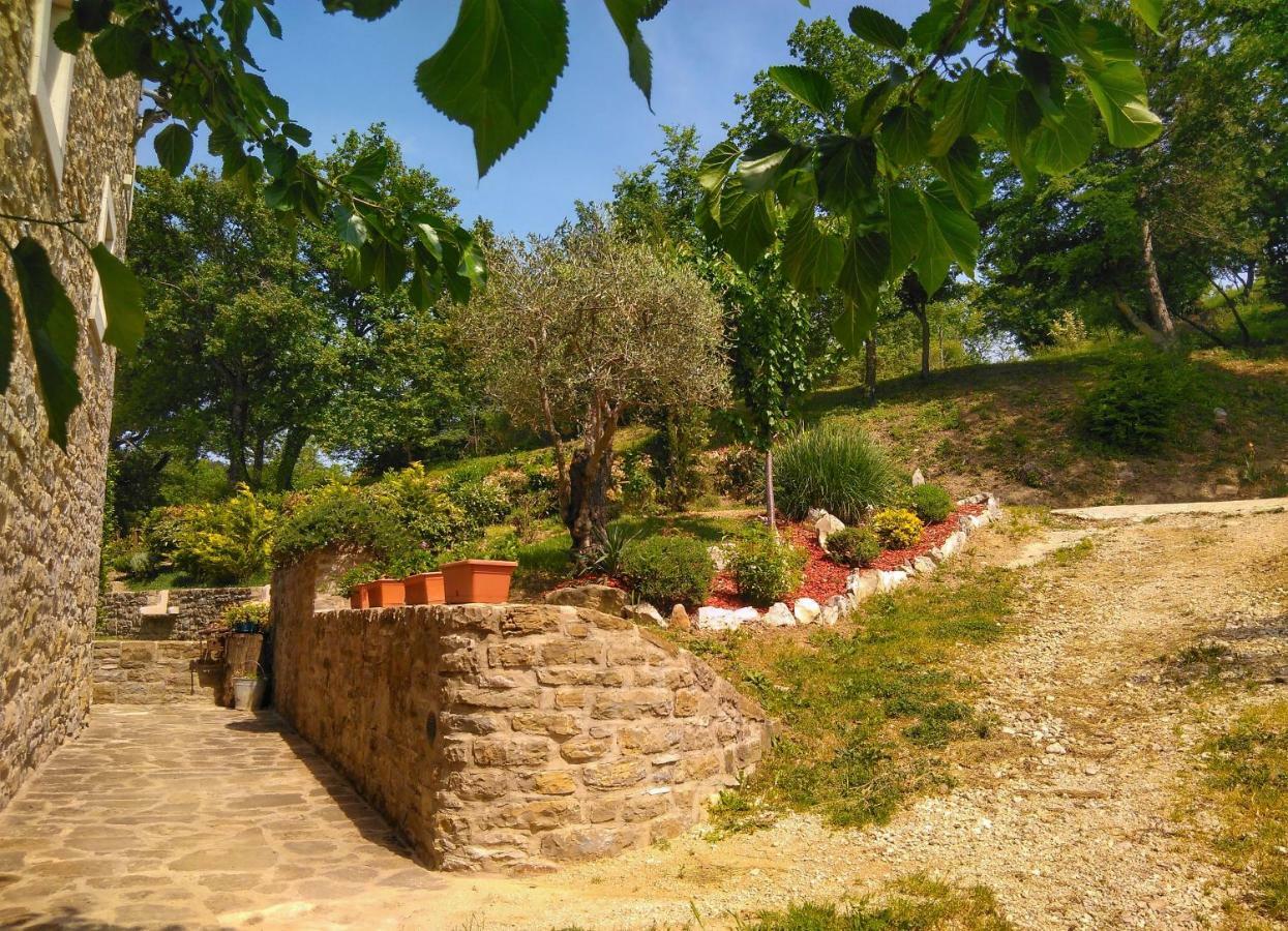 Al Merlo Olivo, Rural Istrian House บูเย ภายนอก รูปภาพ
